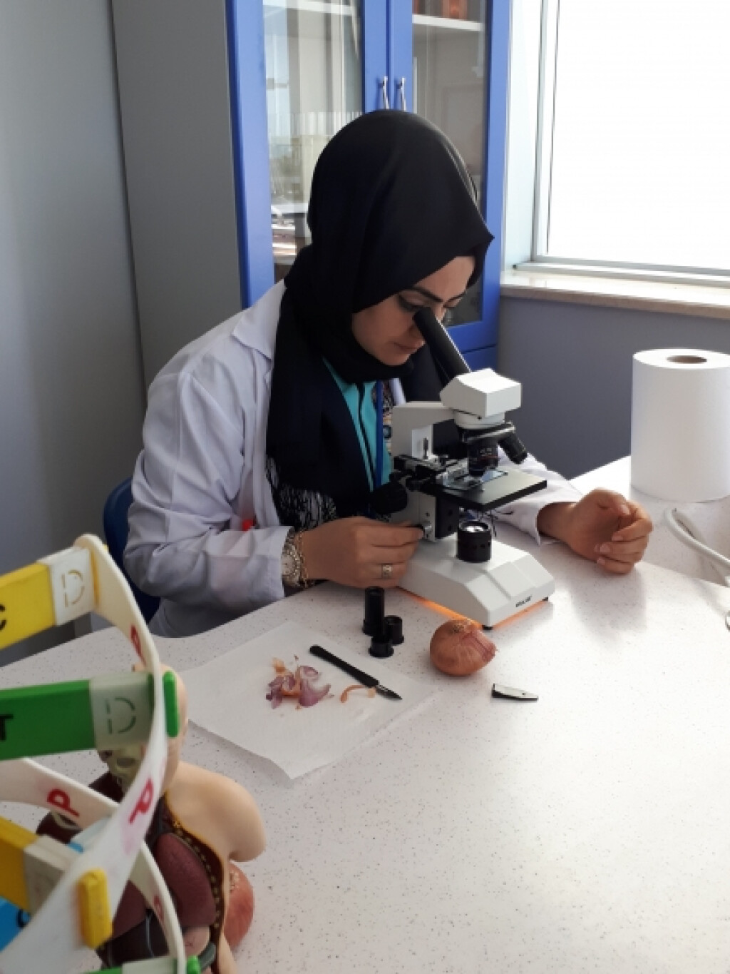 Öğrencilerimiz Mikroskopla İncelemeler Yaptı | İstanbul Pendik İl...