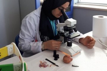 Öğrencilerimiz Mikroskopla İncelemeler Yaptı