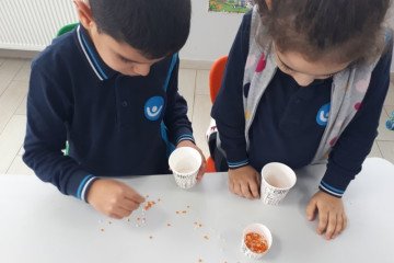 Ayıkla Mercimeğin Pirincini | İstanbul Pendik İlkokulu ve Ortaoku...