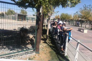 İyi Dersler Okulları Hayvanat Bahçesi Gezisi | Kayseri Konaklar İ...