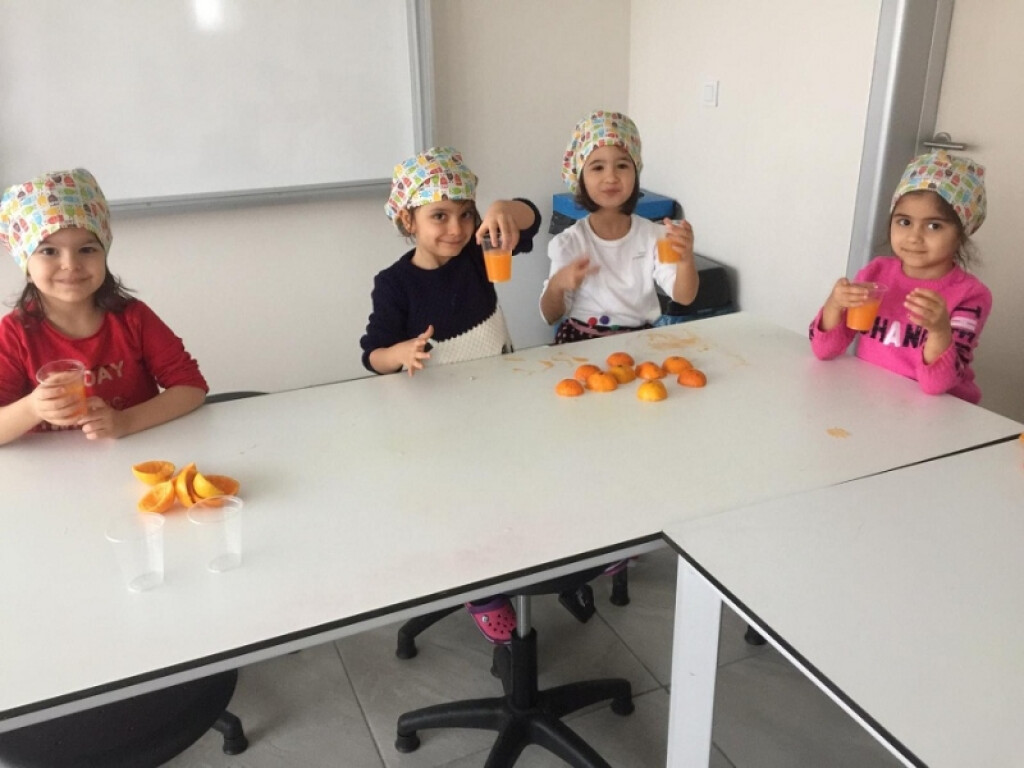 Vitamin Avcıları | Kayseri Konaklar İlkokulu ve Ortaokulu | Özel...