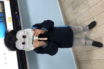 Make An Animal Mask
