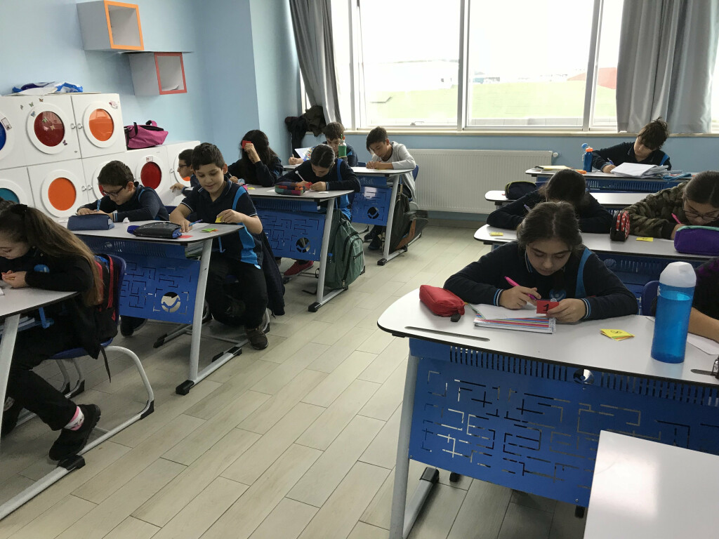Kart Sıralama Oyunu | Pendik İlkokulu ve Ortaokulu | Özel Okul
